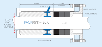 Packryt Blr Bearing With Integrated Lantern Ring