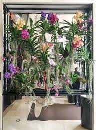 Nguyen flowers offer a large variety of fresh and natural flowers, plants and gifts for all occasions.our goal is to provide exceptional service and quality for…. 160 Luxury Hotel Flowers Ideas Hotel Flowers Flower Arrangements Luxury Hotel