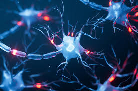 Mountain Mutation Could Unlock a Natural Treatment for Nerve Damage
