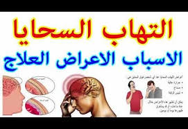 التهاب السحايا إينا برس