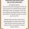 We pray for your healing power. 1