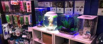Pet shop near me fish. Tropical Fish Pet Shop Near Me Www Macj Com Br