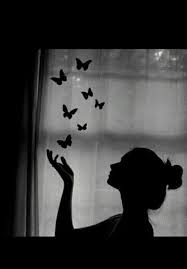 صور خلفيات سوداء Hd عالية الجودة بفبوف Shadow Pictures Butterflies Flying Art