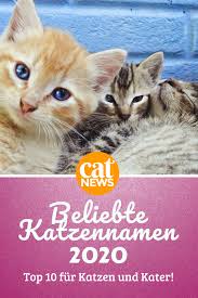 Die Beliebtesten Katzennamen Fur 2020 Katzen Namen Beliebte Katzennamen Katzen