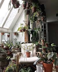 Beautiful In Home Plant Nursery By Farm Coast House Plants Plants Diy Plants Plant Decor Indoor