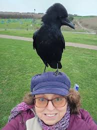 I was going to join this group because I love crows. Now I have changed my  mind after reading a helpful informative post