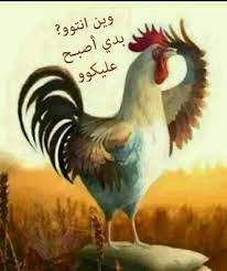 منشورات صباحية , صور لاحلى المنشورات و الكلمات الصباحيه. ØµØ¨Ø§Ø­ Ø§Ù„Ø®ÙŠØ± Ù…Ø¶Ø­ÙƒØ© ØµÙˆØ± ÙƒÙˆÙ…ÙŠØ¯ÙŠØ© ØµØ¨Ø§Ø­ÙŠØ© Ø±Ù…Ø²ÙŠØ§Øª