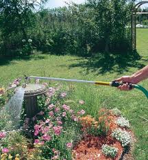 Water Wand Lee Valley Tools