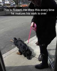 22 Funny Animal Pictures Of The Day Davina Paradis Funny Animals Cute Funny Animals Funny Animal Pictures
