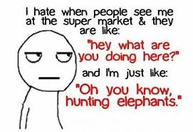 These are some amazing teenager posts. Thats Just Plain Silly Everyone Knows They Dont Give Hunting Permits For Super Markets Anymore Love Quotes Funny Funny Quotes Quotes