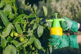 It controls bugs through contact, including aphids, mealybugs, mites. Mix Your Own Insecticidal Soap For Garden Pests Horticulture