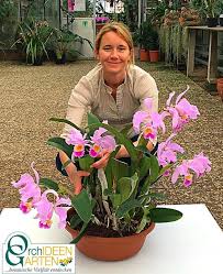 Timeline Photos Orchideengarten Karge Liphard Orchideen Pflanzen Orchideen Garten