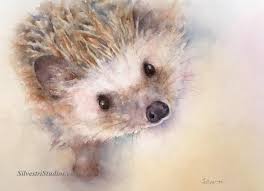 Hedgehog Print Hedgehog Art Hedgehog Watercolor Hedgehog Etsy Hedgehog Art Animal Paintings Watercolor Illustration