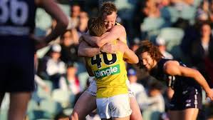 Stream fremantle vs richmond live on sportsbay. Richmond V Fremantle Match Report Tigers Win By Over 100 Points Top Four Where Are Richmond On The Afl Ladder Herald Sun