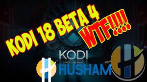 The very best free tools, apps and games. Wtf Kodi 18 Beta 4 Or What The Frak How To Download Husham Com News