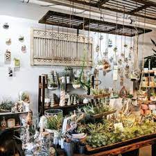 Check spelling or type a new query. Mahonia 222 Photos 66 Reviews Gift Shops 822 E Market St Louisville Ky Phone Number Yelp