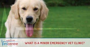 With centers in most states and major cities, we're probably just a short drive away. What Is A Minor Emergency Vet Clinic Veticentre
