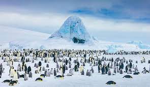 Zoe samuel 6 min quiz sewing is one of those skills that is deemed to be very. Trivia Quiz Questions And Answers 15 Trivia Questions To Test Your General Knowledge World News Express Co Uk