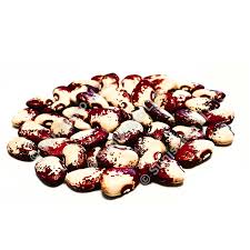 Image result for Phaseolus lunatus