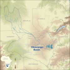 Image result for Limnophyton angolense