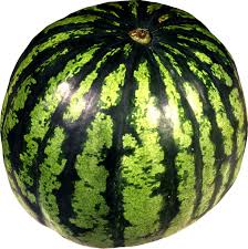 Watermelon Wallpaper1285 Jpg 2 446 2 454 Pixels Watermelon Green Watermelon Fruit