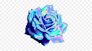Are you searching for blue rose png images or vector? Roses Background