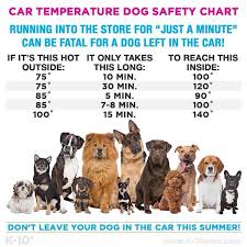 Car Temperature Dog Safety Chart Lets Keep Our Fury