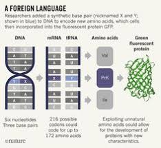 Unnatural Selection Why The Geeks Will Inherit The Earth New Clue To How Lithium Works In The Brain Molecular Biology Neuroscience Bipolar Brain