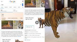 Google 3d Animals How To Watch Tiger Dog Panda Lion Peacock Duck Octopus Other Animals View In 3d Google Know Here In 2020 Animals Dogs Pet Dogs
