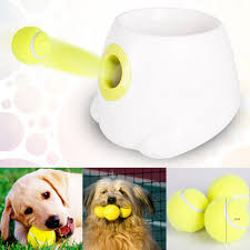 Interactive Hyper Fetch Mini Treat Dog Cat Pet Ball Machine Launcher Toys Game Trainer In 2020 Pet Ball Dog Toy Ball Pet Toys