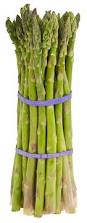 Image result for Asparagus aspergillus