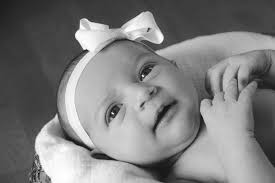 Heather Wimmer, Photographer