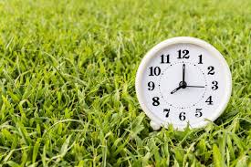 Not waking up in the. More States Moving To Keep Daylight Saving Time Permanent Old Farmer S Almanac