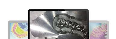 Eine 2002 gegründete tochterfirma in den usa und vertriebspartner in über 100 ländern machen meisinger zu einem global player der medizintechnik. Cad Cam Dental Ratio