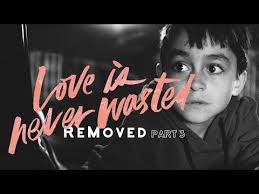 Adoption Foster Care My Personal Experiences Removed 3 Love Is Never Wasted Step Parenting How To Remove Step Parent Adoption