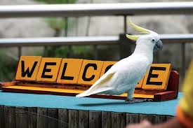 Kl bird park ticket price, hours, address and reviews. Top Destinations Africa Activity Kuala Lumpur Bird Park