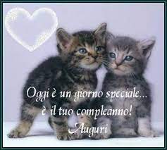 Oggi E Giorno Speciale E Il Tuo Compleanno Auguri Immagini Di Buon Compleanno Buon Compleanno Divertente Compleanno Gatti