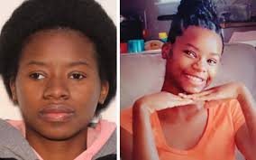 Lost dog in New Salisbury area