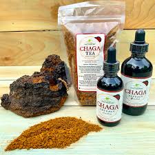 This is where chaga or chaga tea comes in and helps in moderating blood sugar levels as well as balance out other health problems. Chaga Tea And Extract Combo Alaska Birch Syrup And Wild Harvest