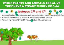 But what is the real science behind carbon dating. What Are The Uses Of Carbon 14