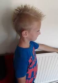 These are the best little boy haircuts that are sure to provide you with all the hairstyle ideas for his sporting a cool hairstyle is not just for adults. 6 Year Old Boy Sent Home From School Because Of Extreme Mohawk Haircut
