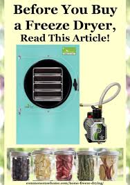 Google has many special features to help you find exactly what you're looking for. Home Freeze Drying Read This Before You Buy A Freeze Dryer