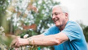 Image result for Physotrichia