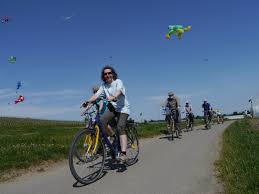 We carry the best bicycle brands,.and have the highest standard of rental product and maintenance in the industry. Bicycle And E Bike Rental At Lake Constance Near Constance Bootsvermietung Reichenau Bodensee