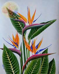 Bird Of Paradise Flower Painting Bird Of Paradise Strelitzia 14x11 Tropical Plant Hawaiian Flower Acrylic On Watercolor Paradise Painting Birds Of Paradise Plant Birds Of Paradise Flower