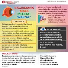 Check spelling or type a new query. Bagaimana Mata Melihat Warna Akutahu Com Sekejap Lebih Cerdas
