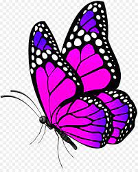 Butterfly Png Wallpaper Butterfly Art Painting Butterfly Drawing Butterfly Painting