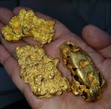3 Large Gold Nuggets Incredible Rarity 8 39 Oz 6 02 Oz 5 24 Oz Gold Nugget Gold Prospecting Gold Specimens