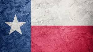 He/she becomes a partner, a friend, a. Service Dogs Of Texas Service Dog Texas Laws The Service Dogs