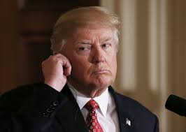 Trump's counter-jihad